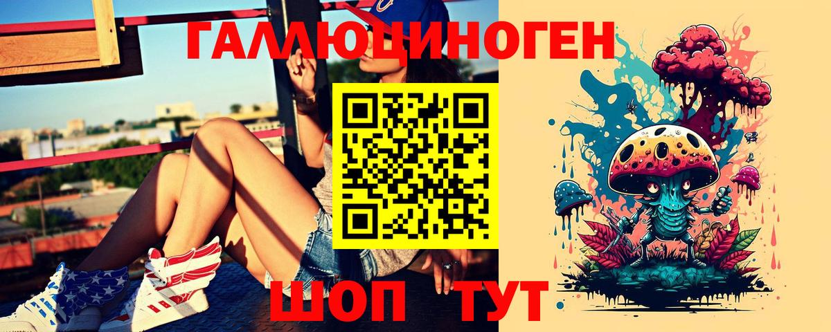 Тында  Галлюциногенные грибы Psilocybine cubensis  Вход с VPN 