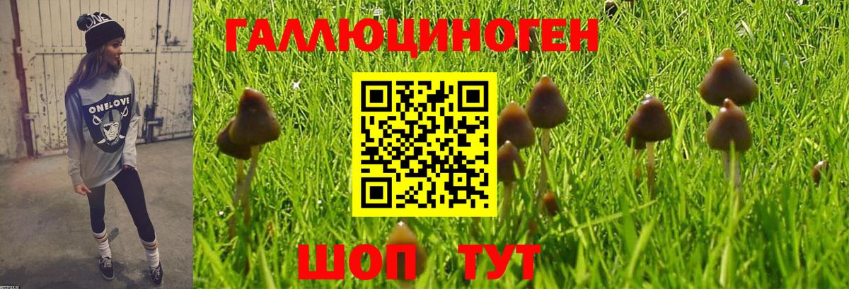 Псилоцибиновые грибы мицелий Тында